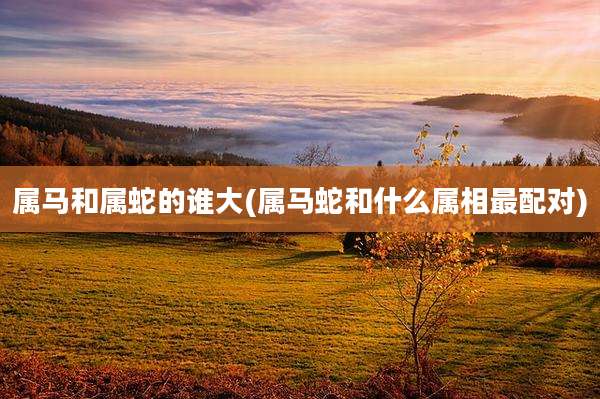 属马和属蛇的谁大(属马蛇和什么属相最配对)