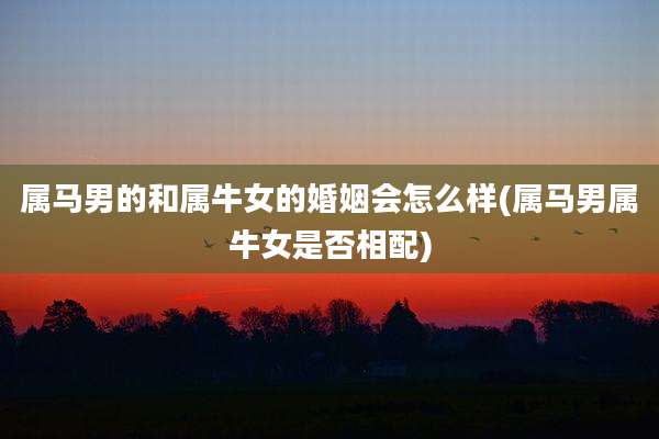 属马男的和属牛女的婚姻会怎么样(属马男属牛女是否相配)