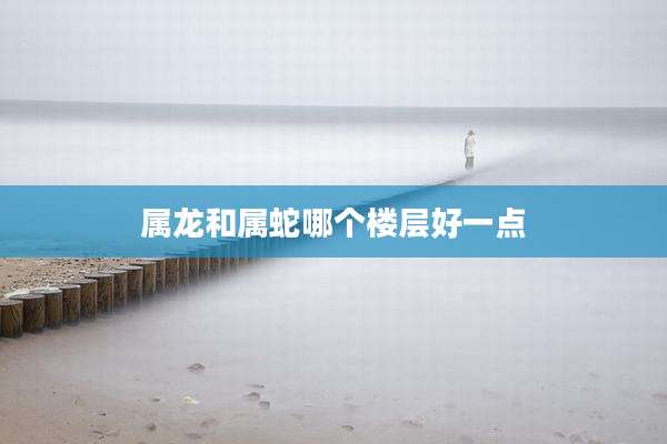 属龙和属蛇哪个楼层好一点