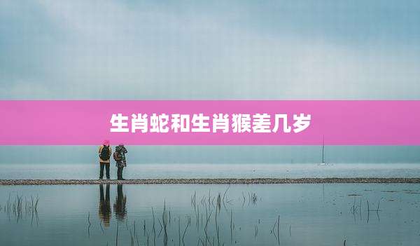 生肖蛇和生肖猴差几岁