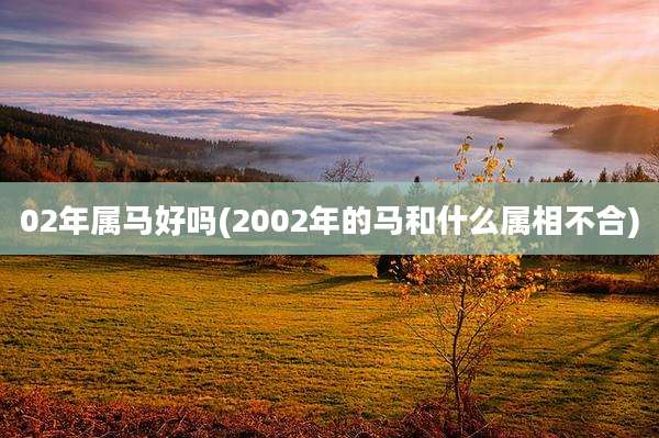 02年属马好吗(2002年的马和什么属相不合)