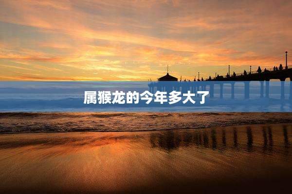 属猴龙的今年多大了