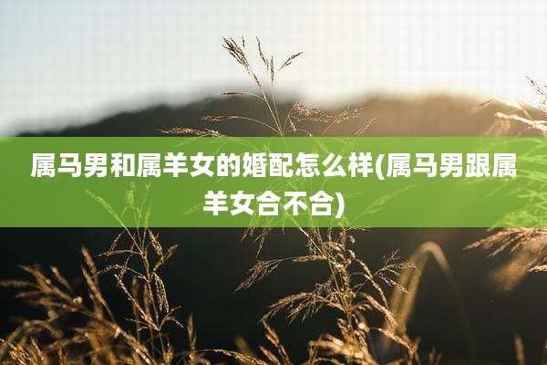 属马男和属羊女的婚配怎么样(属马男跟属羊女合不合)