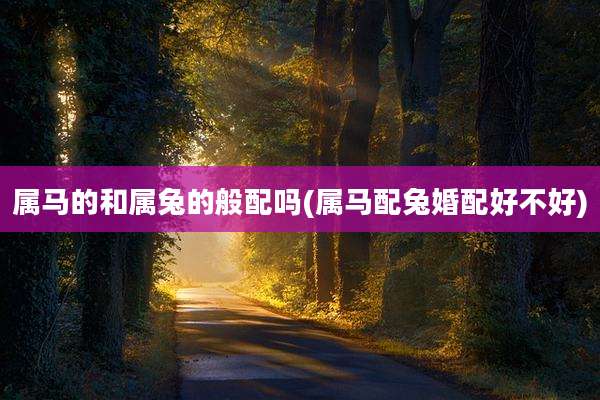 属马的和属兔的般配吗(属马配兔婚配好不好)