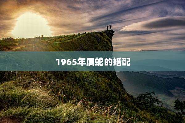 1965年属蛇的婚配