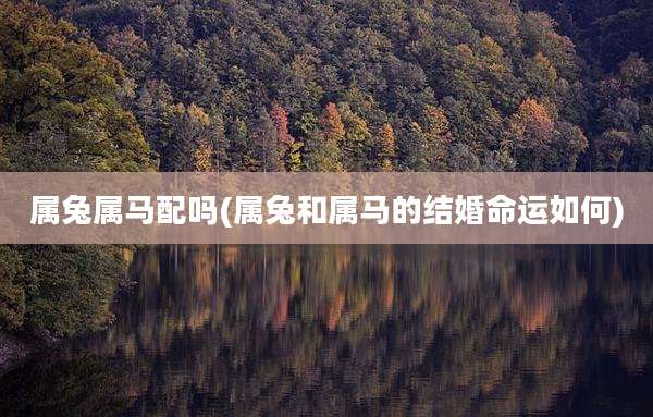 属兔属马配吗(属兔和属马的结婚命运如何)
