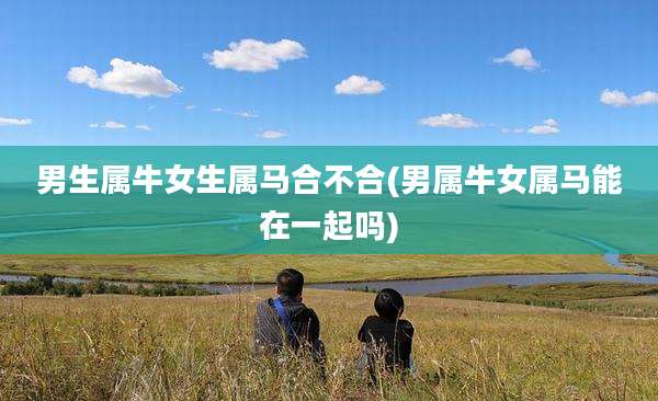男生属牛女生属马合不合(男属牛女属马能在一起吗)