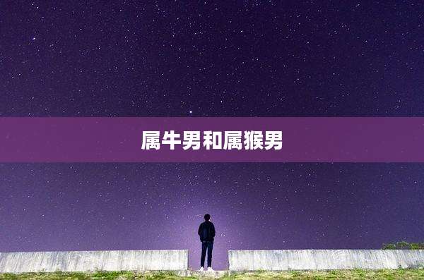 属牛男和属猴男