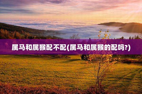 属马和属猴配不配(属马和属猴的配吗?)