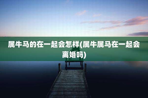 属牛马的在一起会怎样(属牛属马在一起会离婚吗)