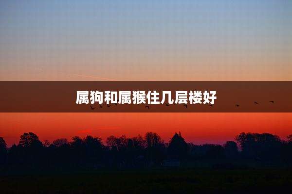 属狗和属猴住几层楼好