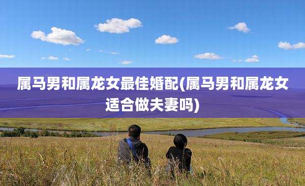 属马男和属龙女最佳婚配(属马男和属龙女适合做夫妻吗)