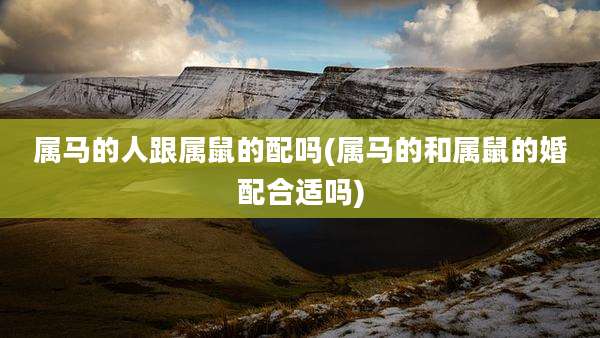 属马的人跟属鼠的配吗(属马的和属鼠的婚配合适吗)