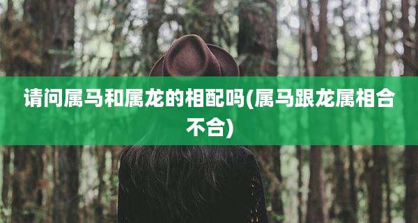 请问属马和属龙的相配吗(属马跟龙属相合不合)