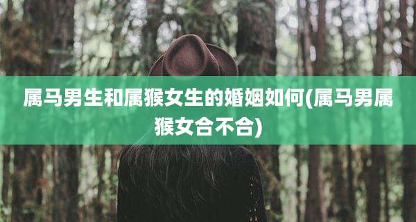 属马男生和属猴女生的婚姻如何(属马男属猴女合不合)