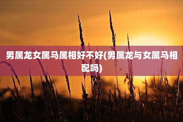 男属龙女属马属相好不好(男属龙与女属马相配吗)