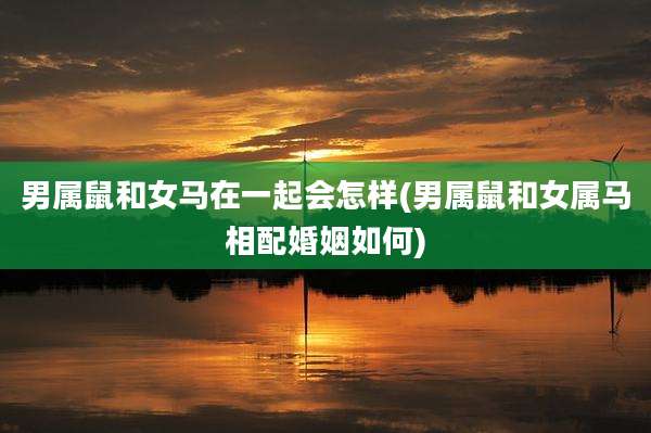 男属鼠和女马在一起会怎样(男属鼠和女属马相配婚姻如何)