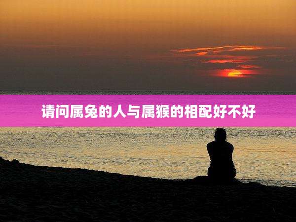 请问属兔的人与属猴的相配好不好