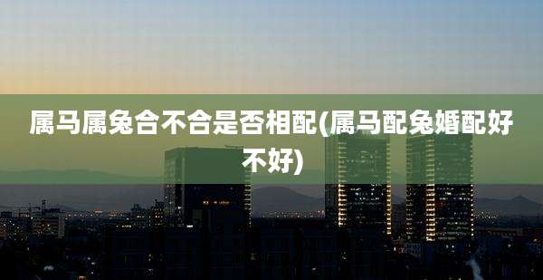 属马属兔合不合是否相配(属马配兔婚配好不好)