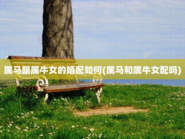 属马跟属牛女的婚配如何(属马和属牛女配吗)