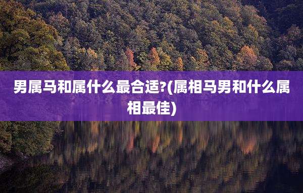 男属马和属什么最合适?(属相马男和什么属相最佳)