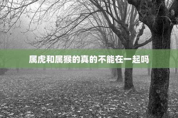 属虎和属猴的真的不能在一起吗