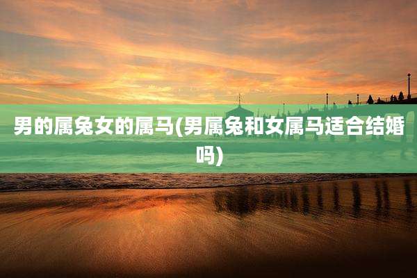 男的属兔女的属马(男属兔和女属马适合结婚吗)