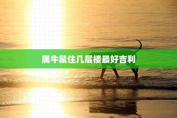 属牛鼠住几层楼最好吉利