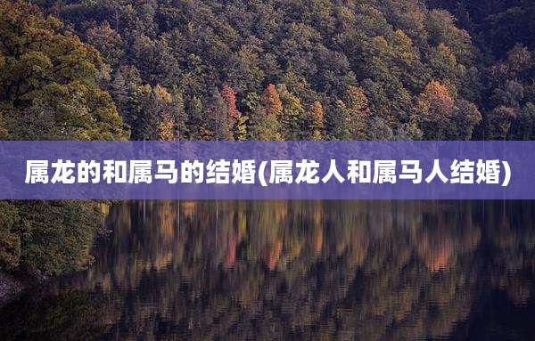 属龙的和属马的结婚(属龙人和属马人结婚)