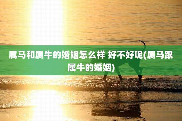 属马和属牛的婚姻怎么样 好不好呢(属马跟属牛的婚姻)