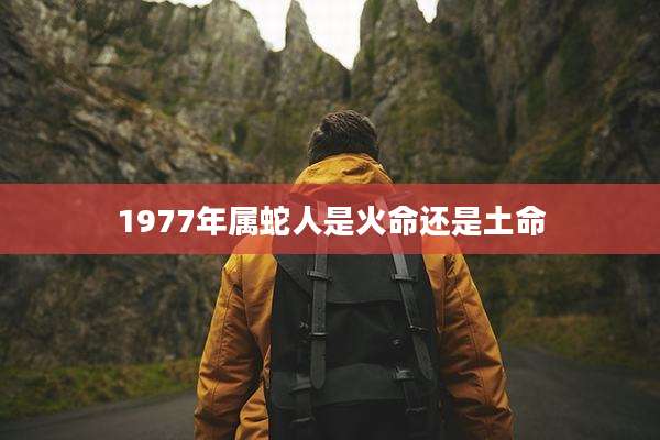 1977年属蛇人是火命还是土命