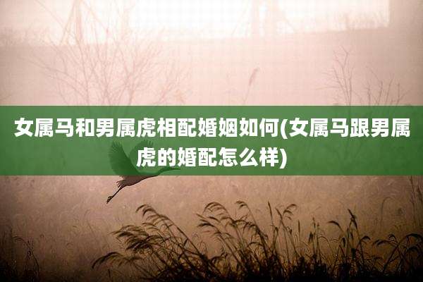 女属马和男属虎相配婚姻如何(女属马跟男属虎的婚配怎么样)