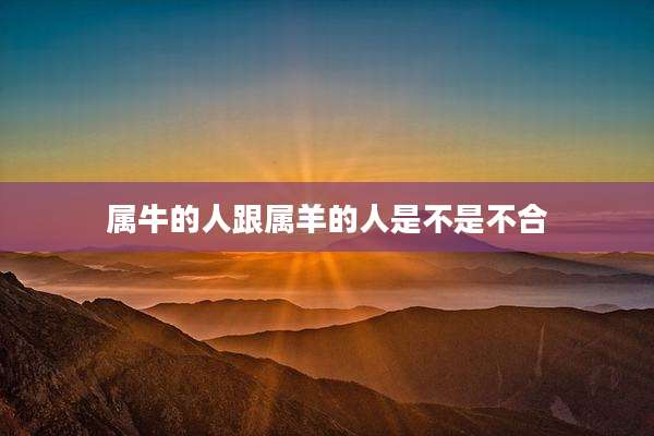 属牛的人跟属羊的人是不是不合