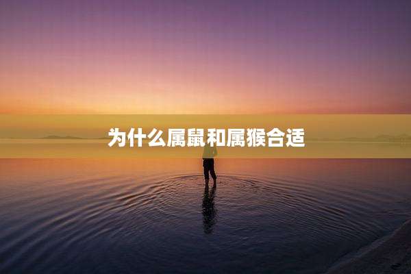 为什么属鼠和属猴合适