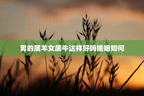 男的属羊女属牛这样好吗婚姻如何