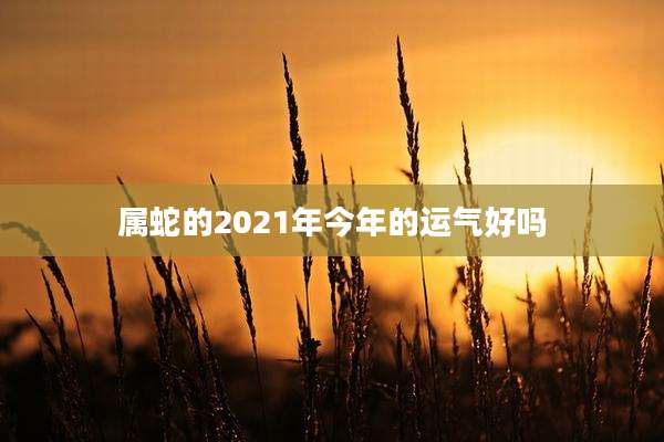 属蛇的2021年今年的运气好吗