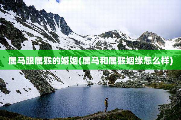 属马跟属猴的婚姻(属马和属猴姻缘怎么样)