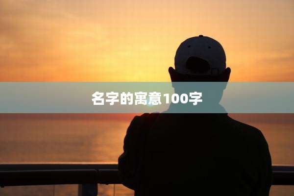 名字的寓意100字