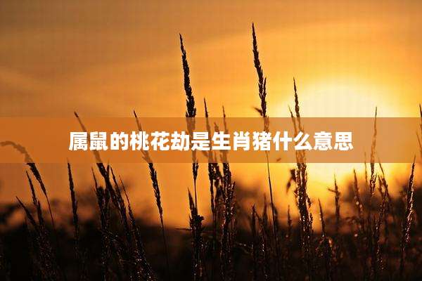 属鼠的桃花劫是生肖猪什么意思