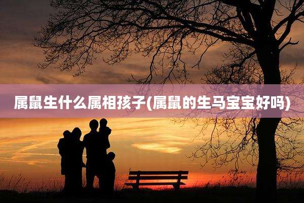 属鼠生什么属相孩子(属鼠的生马宝宝好吗)