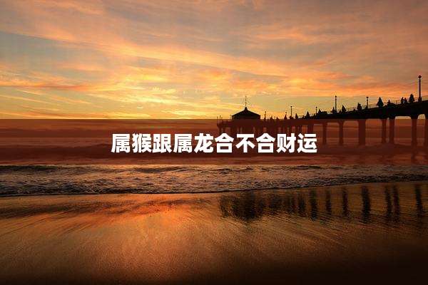 属猴跟属龙合不合财运