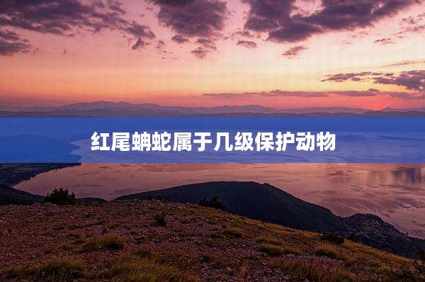 红尾蚺蛇属于几级保护动物