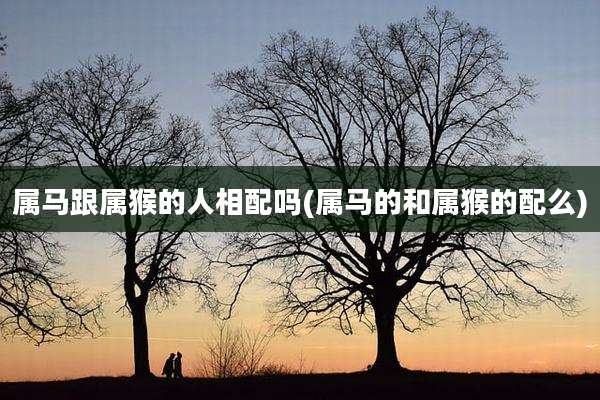 属马跟属猴的人相配吗(属马的和属猴的配么)