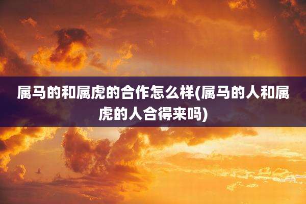 属马的和属虎的合作怎么样(属马的人和属虎的人合得来吗)