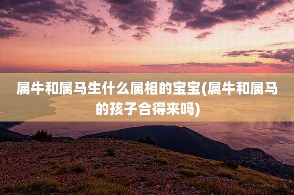 属牛和属马生什么属相的宝宝(属牛和属马的孩子合得来吗)