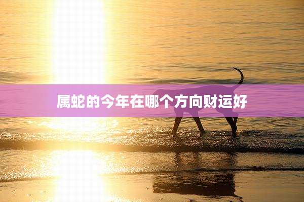 属蛇的今年在哪个方向财运好