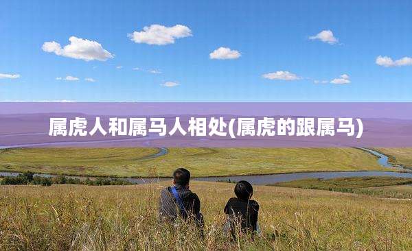 属虎人和属马人相处(属虎的跟属马)