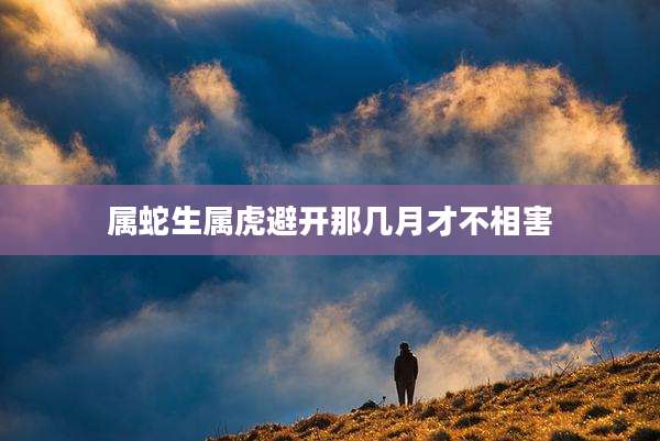 属蛇生属虎避开那几月才不相害