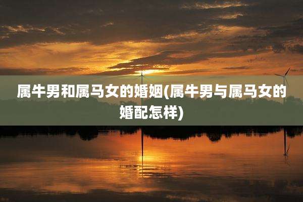属牛男和属马女的婚姻(属牛男与属马女的婚配怎样)
