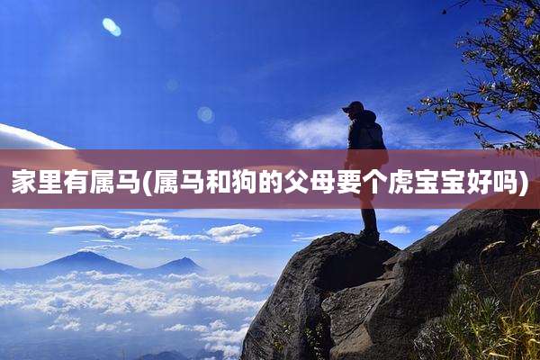 家里有属马(属马和狗的父母要个虎宝宝好吗)